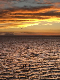 Sunrise Photo: Lynette Reep