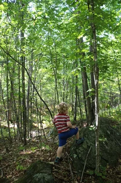 rock_climber_kid_web.jpg