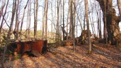 rust2.jpg Photo: Peter Allen