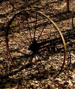 rust8.jpg Photo: Drake Fleege
