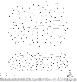 schematic_view.jpg Photo: Margaret C. Nelson