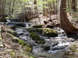 sunny_stream_sm_web.jpg