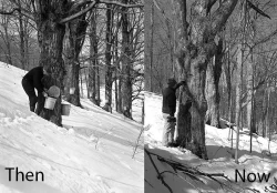 then_now1a.jpg Photo: NW