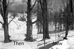 then_now2a.jpg Photo: NW