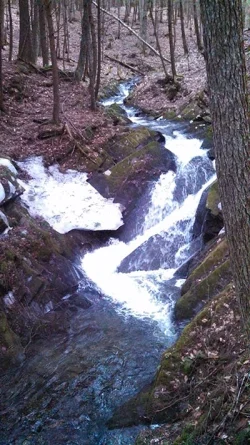 waterfall3_web.jpg