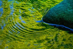 wild_water_1.jpg Photo: John Snell