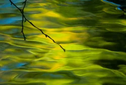 wild_water_2.jpg Photo: John Snell