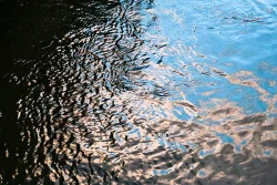 wild_water_3.jpg Photo: John Snell
