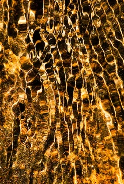 wild_water_4.jpg Photo: John Snell