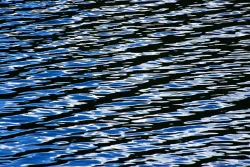 wild_water_5.jpg Photo: John Snell