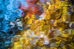 wild_water_6.jpg Photo: John Snell