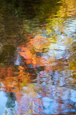wild_water_7.jpg Photo: John Snell