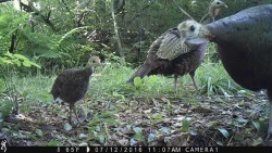 wildlifephotos10_w.jpg Photo: Sonia DeYoung