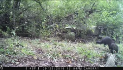 wildlifephotos9_A_w.jpg Photo: Sonia DeYoung