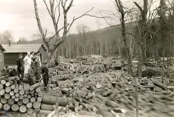 xlogcamp_.jpg Photo: Courtesy of the Brown Company Collection, Plymouth State University