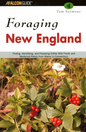 Foraging New England thumbnail