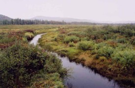 09-10-30_victorybog1.jpg thumbnail