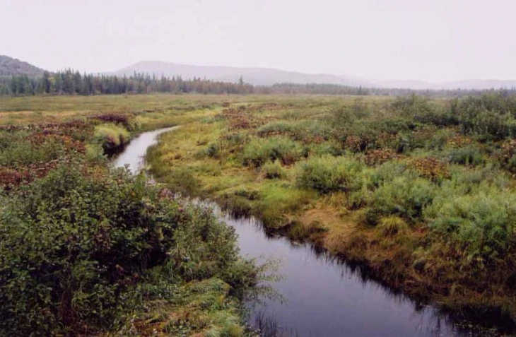 09-10-30_victorybog1.jpg