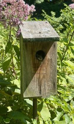 Fall resident Photo: B. Holt Thrasher