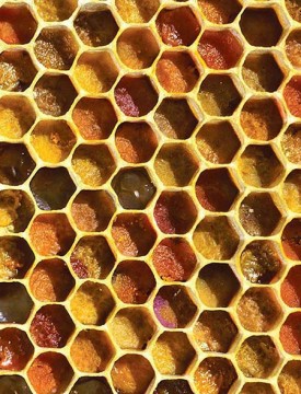 1000-words_sum11.jpg thumbnail