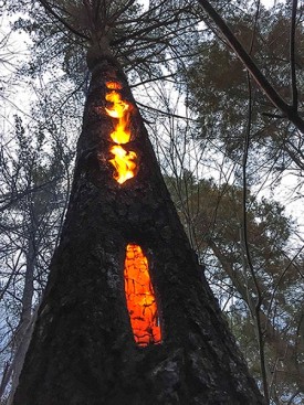 1000_Win15_McFarland.jpg thumbnail