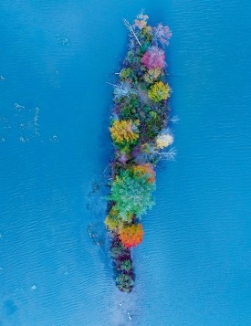 Colorful island thumbnail