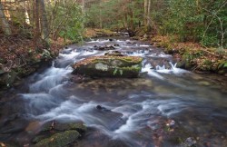 Craig stream Photo: Charlie Schwarz