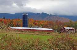 Farm view Photo: Sheri Larsen