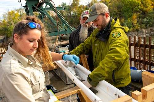 Fish biologists