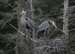 Landing Lessons Photo: Ron Logan