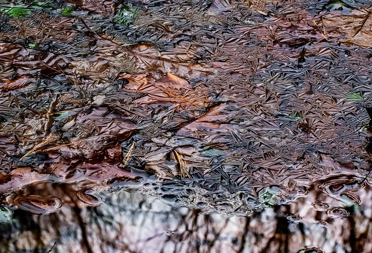 A Colorful Late-Fall Ice Show on a New… | Autumn 2023 | Articles | Features