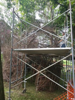 Woven Sculpture and Meadow Restoration Go Hand in Hand Photo: Greater Worcester Land Trust