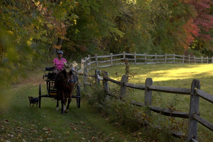 A New Resource to Support Rural Black Landowners