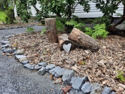 Runaway Woodchips and Resilience Photo: Emily S. Rowe