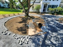 Smothering weeds Photo: Emily S. Rowe