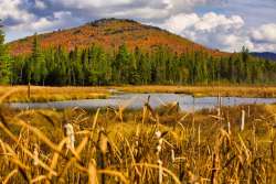 Catamount Mountain Photo: Tom Grett