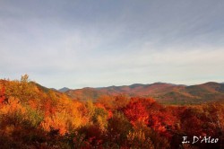 Bear Notch Road Photo: Eric D'Aleo