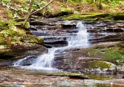 Cascade Brook Photo: Ross Lanius