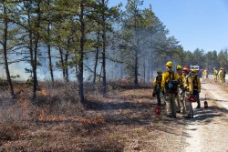 Prescribed Fire Photo: Joel R. Carlson