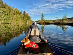 November paddle Photo: Tom Grett