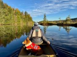 November paddle Photo: Tom Grett