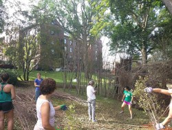 Woven Sculpture and Meadow Restoration Go Hand in Hand Photo: Greater Worcester Land Trust