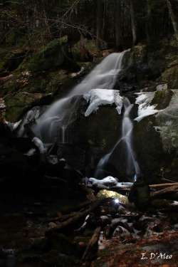 Waterfall Photo: Eric D’Aleo