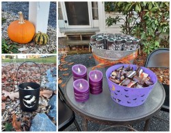 A Spooky Garden Photo: Emily S. Rowe