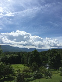 June sky Photo: Penelope Harris