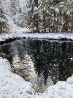 Snow Farm Spring Photo: AM Dannis