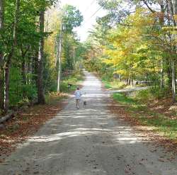 Dog walk Photo: Cindy Morin