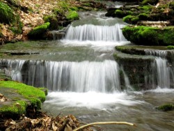 Gray Run Photo: Charlie Schwarz