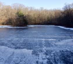 Frozen pond Photo: Ross Lanius