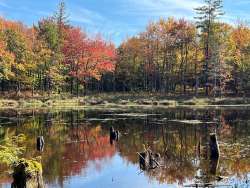 Preston pond Photo: Sheri Larsen